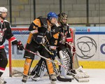EHV Bautzen Huskies vs. Rozmár JSE: 