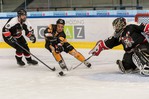 EHV Bautzen Huskies vs. Rozmár JSE: 