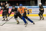 Mighty Moose Hockey vs. Montanuniversität Golden Miners: 