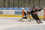 Mighty Moose Hockey vs. Montanuniversität Golden Miners: 