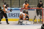 Mighty Moose Hockey vs. Montanuniversität Golden Miners: 