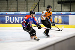 Mighty Moose Hockey vs. USC Icecubes Braunschweig: 