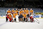 Mighty Moose Hockey (AUT): 